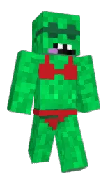 Custom render preview