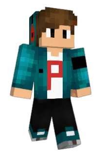 FIashizM Minecraft avatar full body