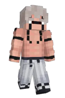 FJleak Minecraft avatar full body
