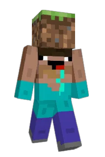 FL34M3 Minecraft avatar full body