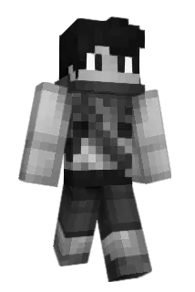 FLAINOP Minecraft avatar full body