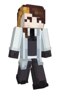 FLAIRardour Minecraft avatar full body