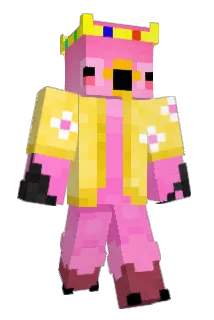 FLAMANT34 Minecraft avatar full body