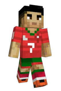 FLAVT021 Minecraft avatar full body