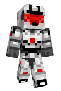 FLCE Minecraft avatar full body