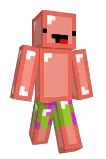 FLNX Minecraft avatar full body