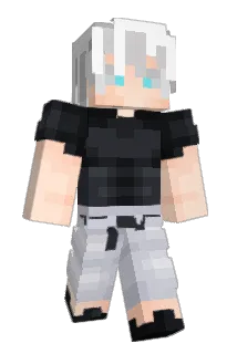FLO2012 Minecraft avatar full body