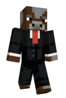 FLP1324 Minecraft avatar full body