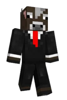 FLYRider1234 Minecraft avatar full body