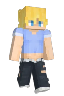 FM5 Minecraft avatar full body