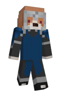 FMJ01 Minecraft avatar full body