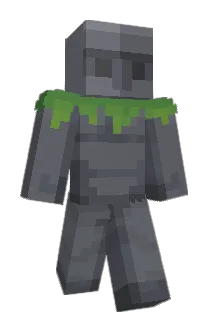 FMJ_ Minecraft avatar full body