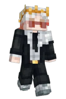 FM__FRoiZy Minecraft avatar full body