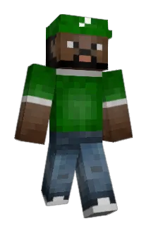 FN76535 Minecraft avatar full body