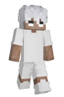 FNAFenjoyer20 Minecraft avatar full body