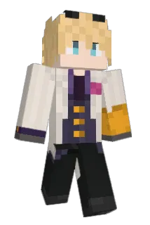 FNC29746273 Minecraft avatar full body