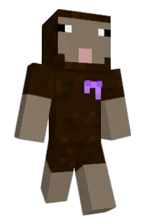 FOFDWE Minecraft avatar full body