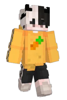 FORD1593 Minecraft avatar full body