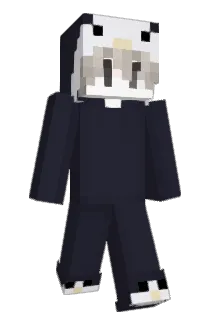 FPunkt14 Minecraft avatar full body