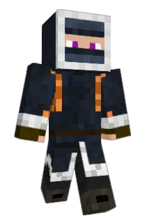 FR12 Minecraft avatar full body