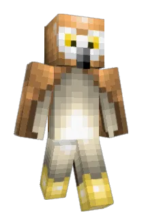FR33M4S0N Minecraft avatar full body