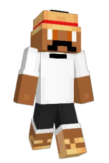 FRANBESI Minecraft avatar full body