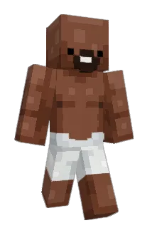 FREDIHL Minecraft avatar full body