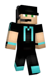 FRT1 Minecraft avatar full body