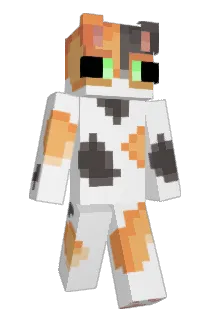FRUi23 Minecraft avatar full body