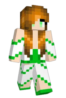 FR_Chuck_Maurice Minecraft avatar full body