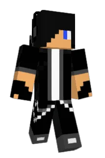 FSD8 Minecraft avatar full body