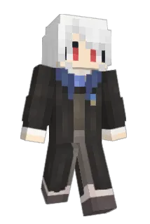 FT_X Minecraft avatar full body