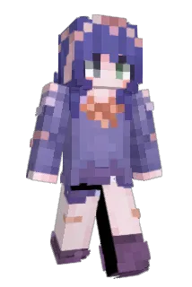 FTshui9 Minecraft avatar full body