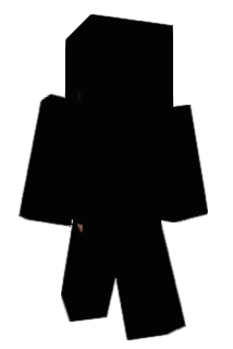 FTsuenDR98 Minecraft avatar full body
