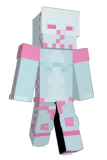 FUNNYD4C2 Minecraft avatar full body