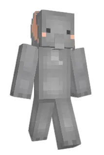 FUSAAI Minecraft avatar full body