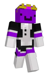FVSD2012 Minecraft avatar full body