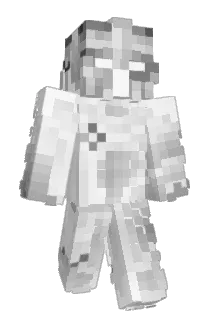 FVSJ Minecraft avatar full body