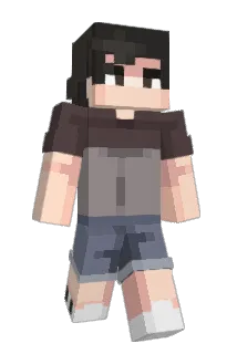FX_hg Minecraft avatar full body