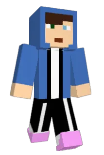 F_01 Minecraft avatar full body