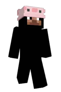 F_R_I_Z_Z_Y Minecraft avatar full body