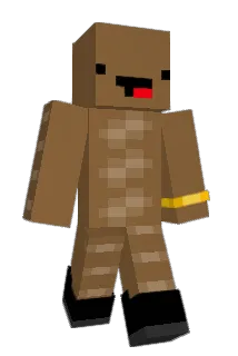 F_R_O_G_G_O Minecraft avatar full body