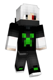 F_r_o_g Minecraft avatar full body