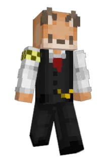 Faannny Minecraft avatar full body