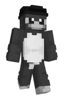 FabiNw_ Minecraft avatar full body