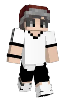 Fabrig2102 Minecraft avatar full body