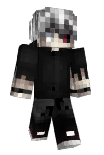 Fabroww Minecraft avatar full body