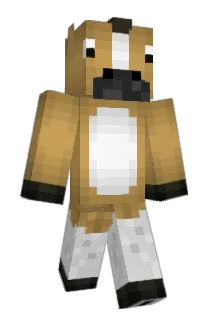 Fabyan00 Minecraft avatar full body