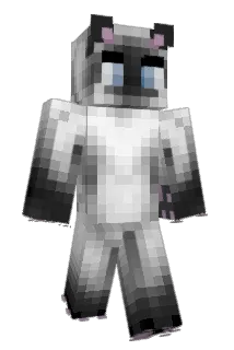 Faemori Minecraft avatar full body