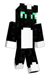 Fajardinhio Minecraft avatar full body